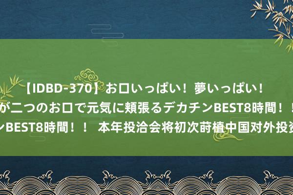 【IDBD-370】お口いっぱい！夢いっぱい！ MEGAマラ S級美女達が二つのお口で元気に頬張るデカチンBEST8時間！！ 本年投洽会将初次莳植中国对外投资相助专区